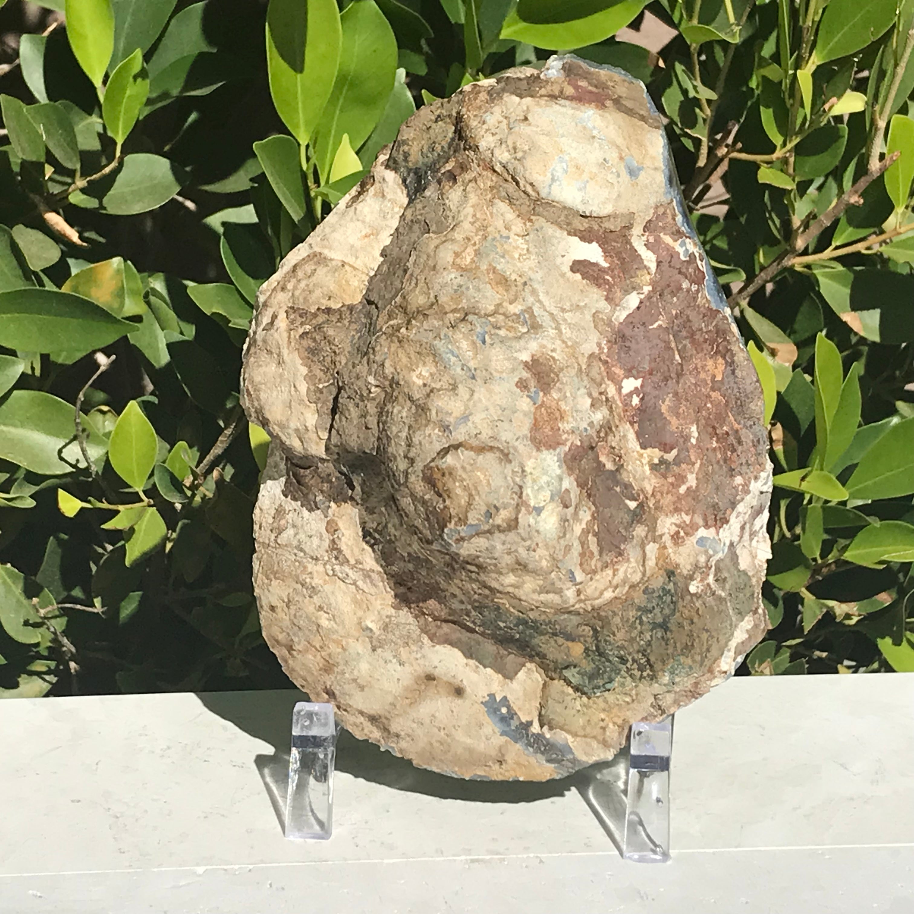 Olive Green Banded Amethyst Geode