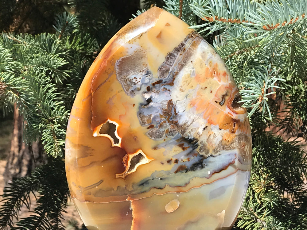 Detailed Flame Shaped Agate