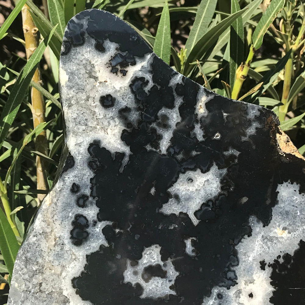 Black Agate/Quartz Crystal Slab