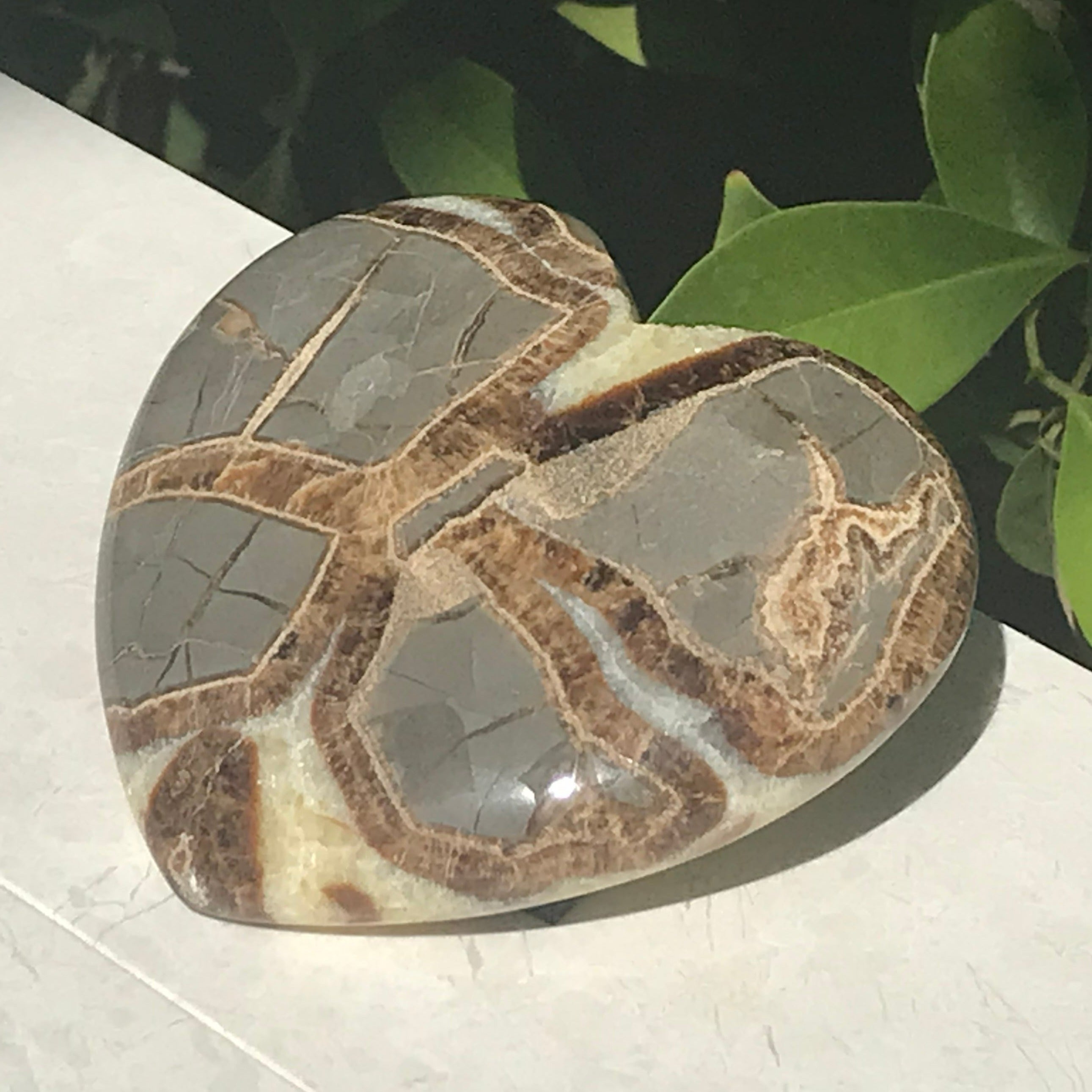 Utahn Septarian Heart