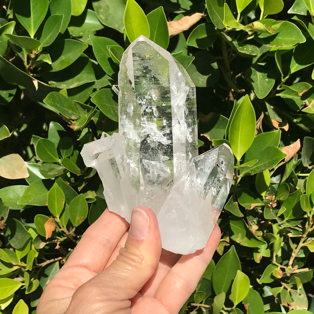 Crystal Growth on Lemurian Crystal Cluster