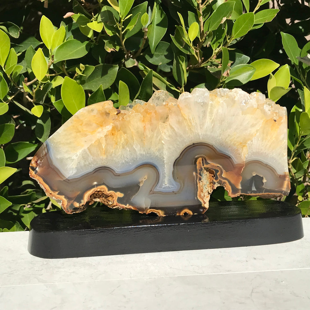 Crystal topped Brazilian Agate Slice