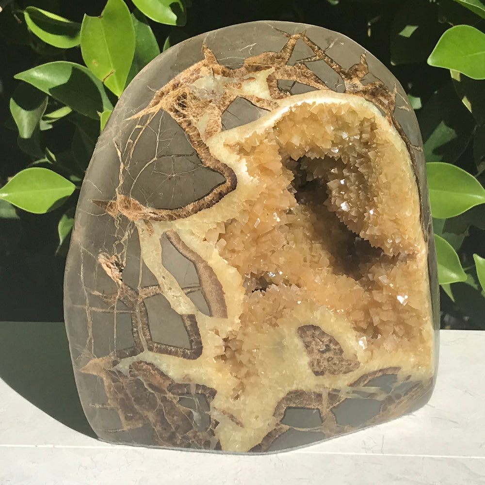 Crystal Filled Septarian Geode