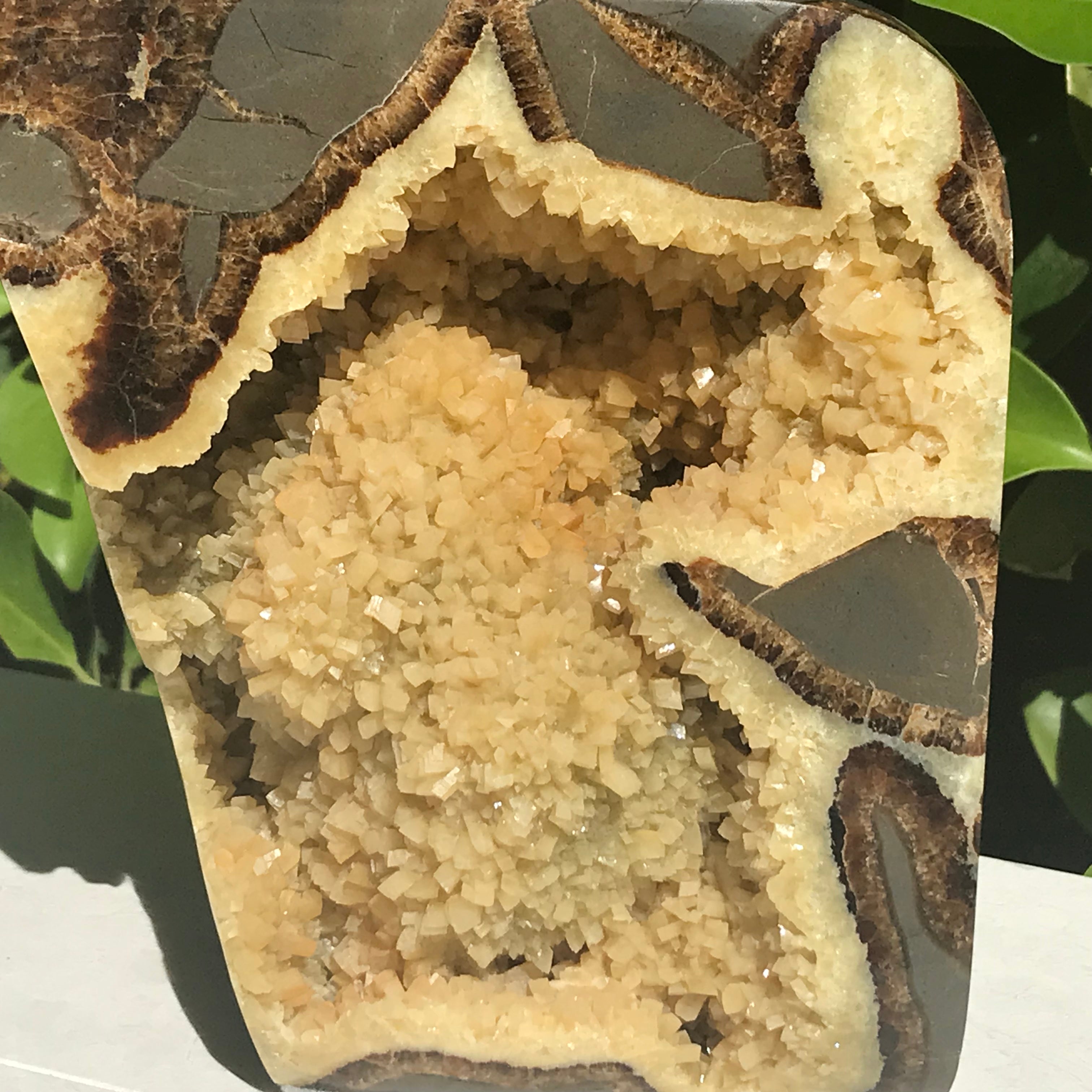 Polished Septarian Geode