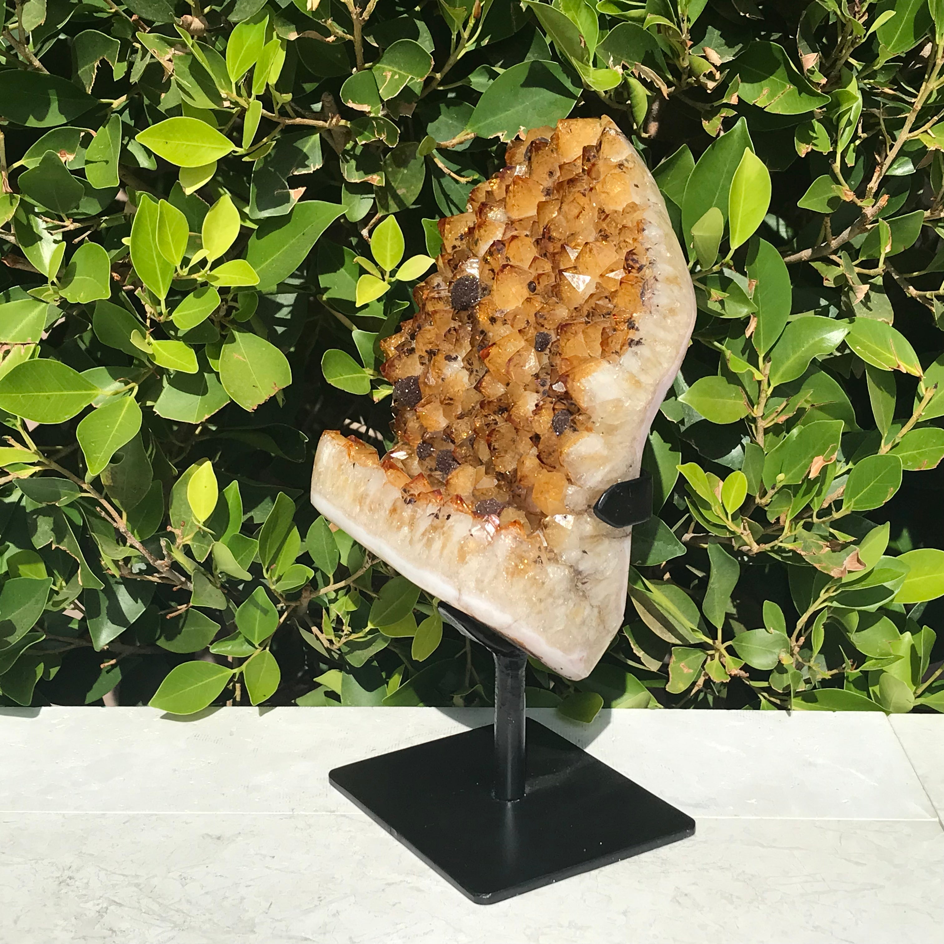 Goethite Speckled Brazilian Citrine Cluster