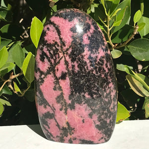 Polished Rhodonite Nodule