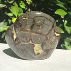 Polished Septarian Sculpture