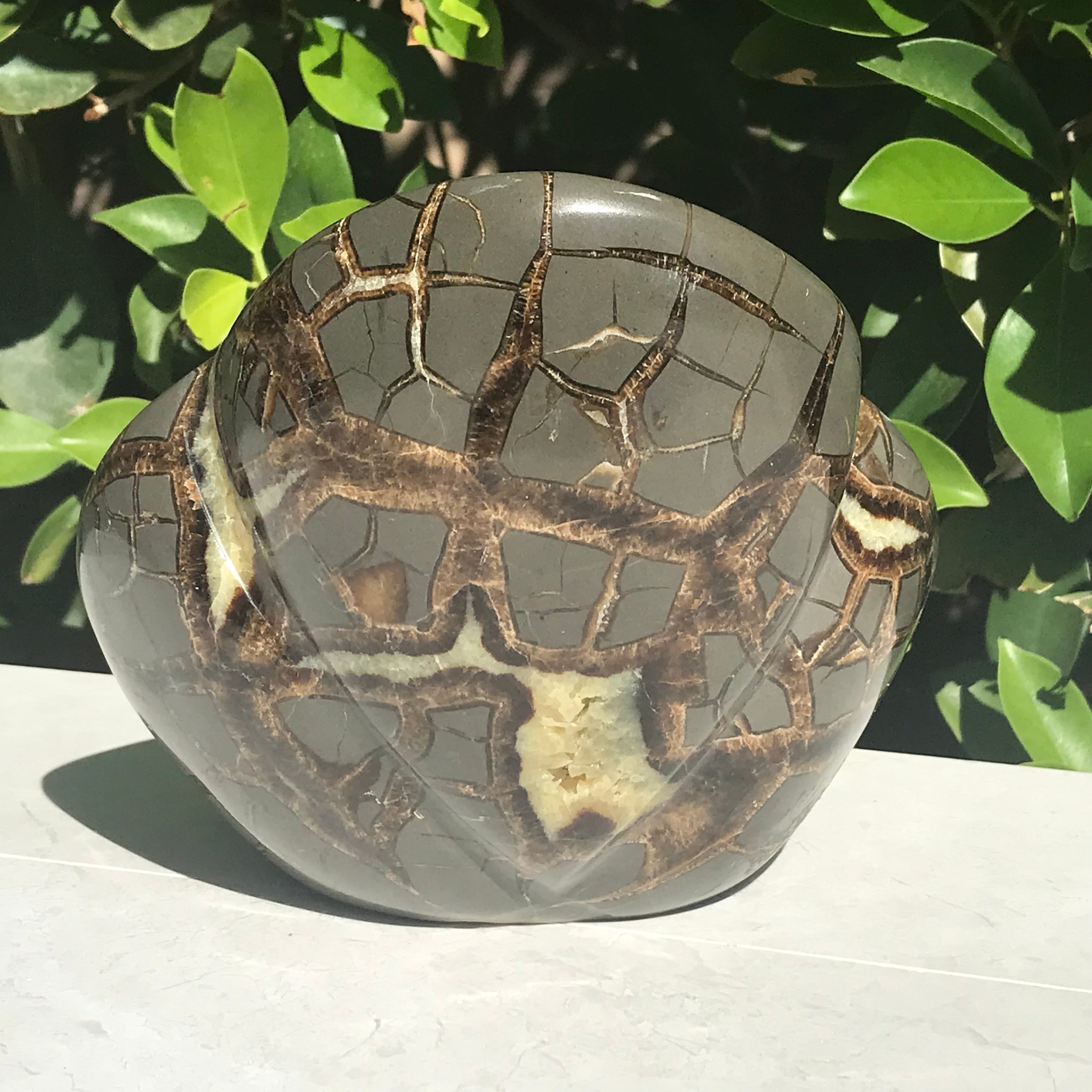 Polished Septarian Sculpture