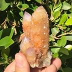 Crystal Coated Amber Cactus Quartz Cluster