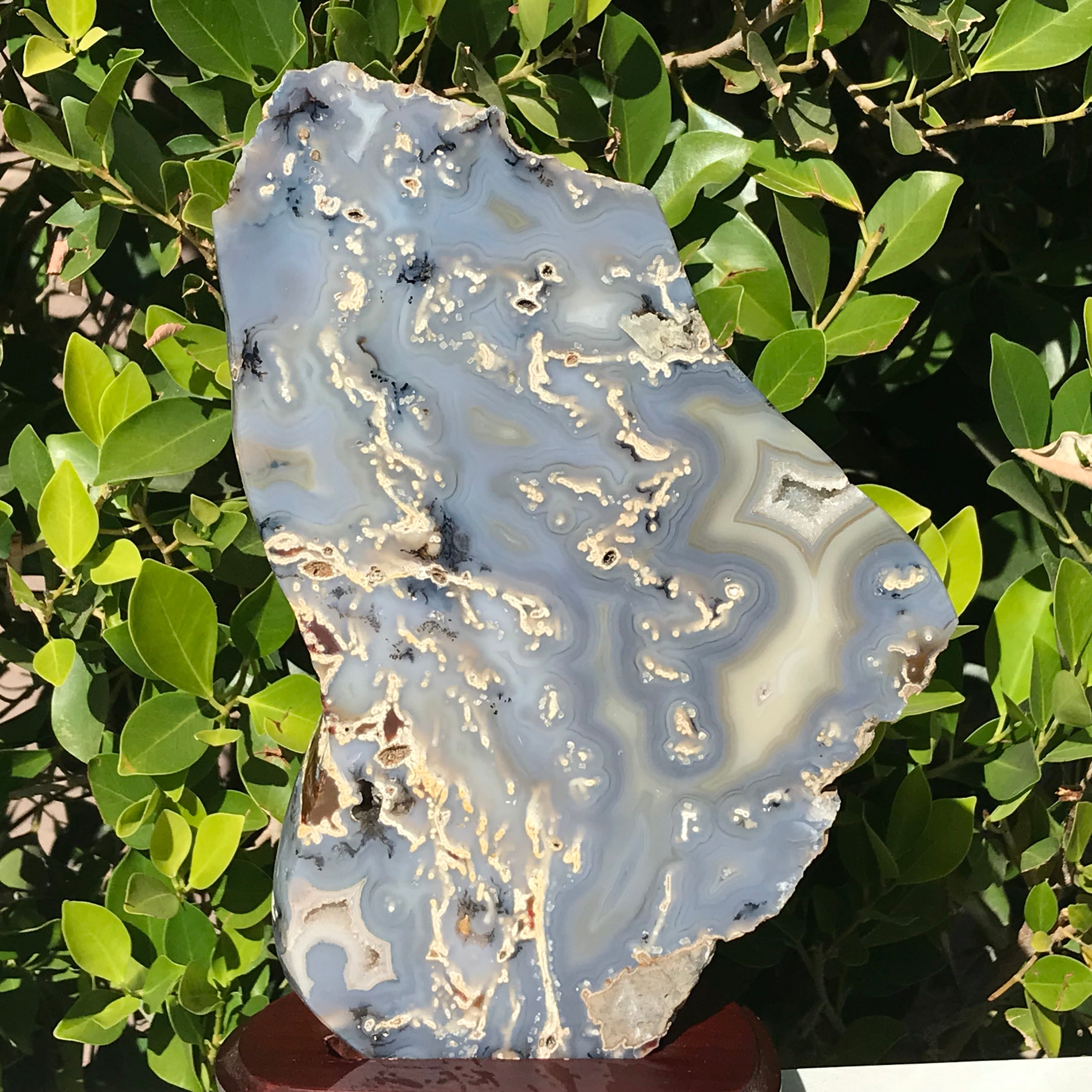 Brazilian Agate Freeform