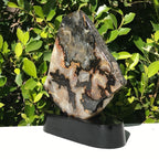 Neutral Brazilian Agate Freeform