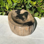 Polished Petrified Wood Bowl
