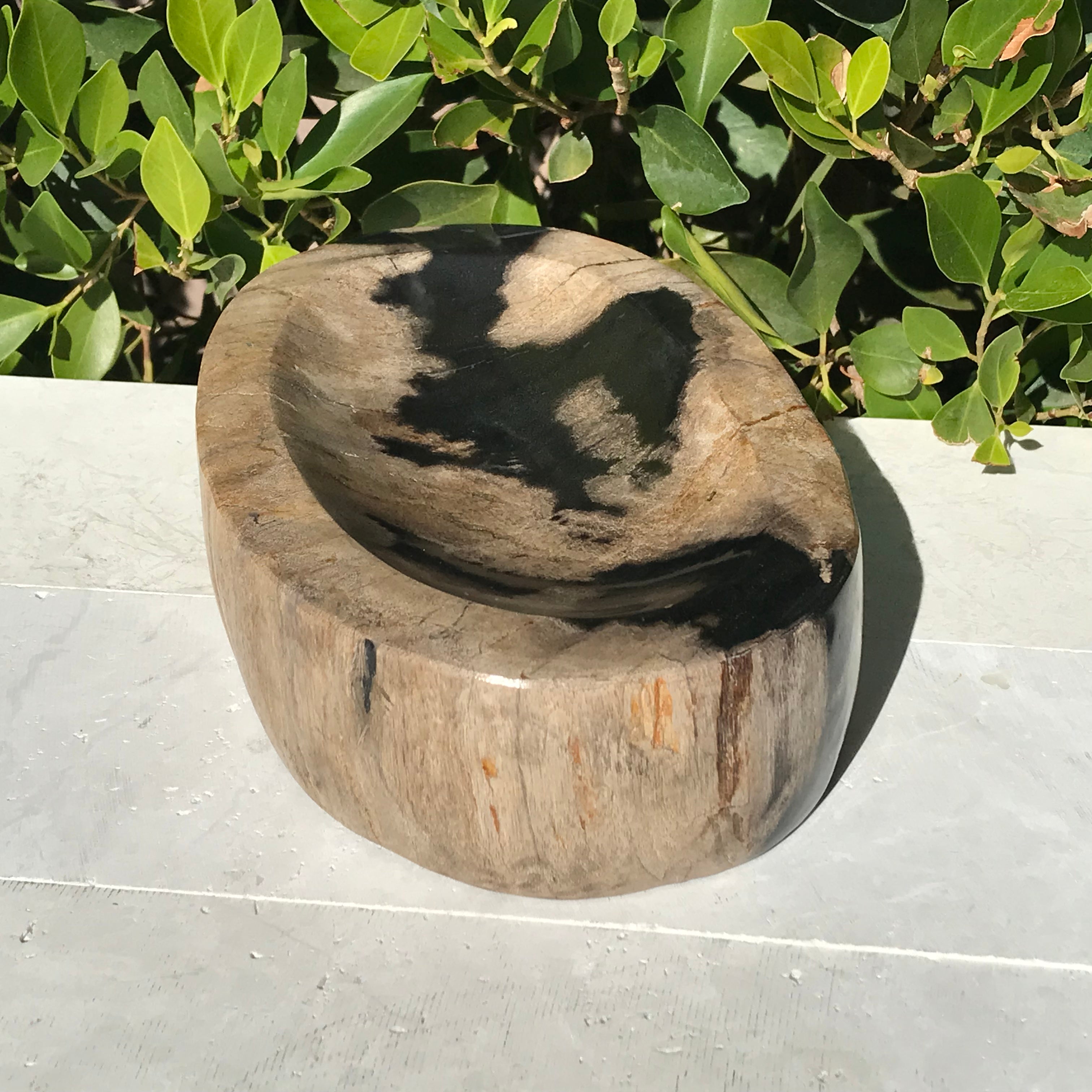 Polished Petrified Wood Bowl