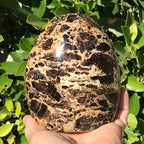 Black Opal Freeform