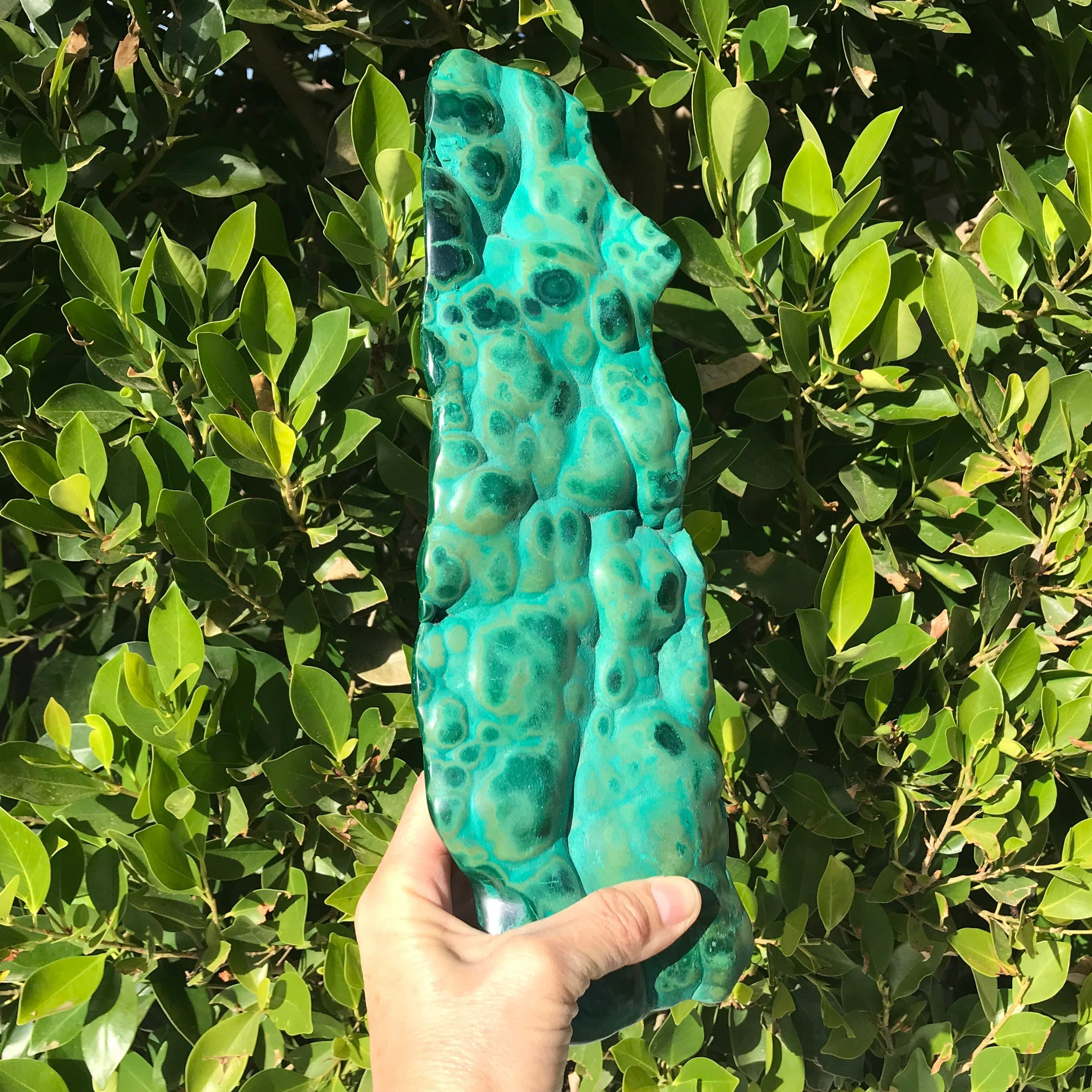 Polished Malachite/Chrysocolla Plate