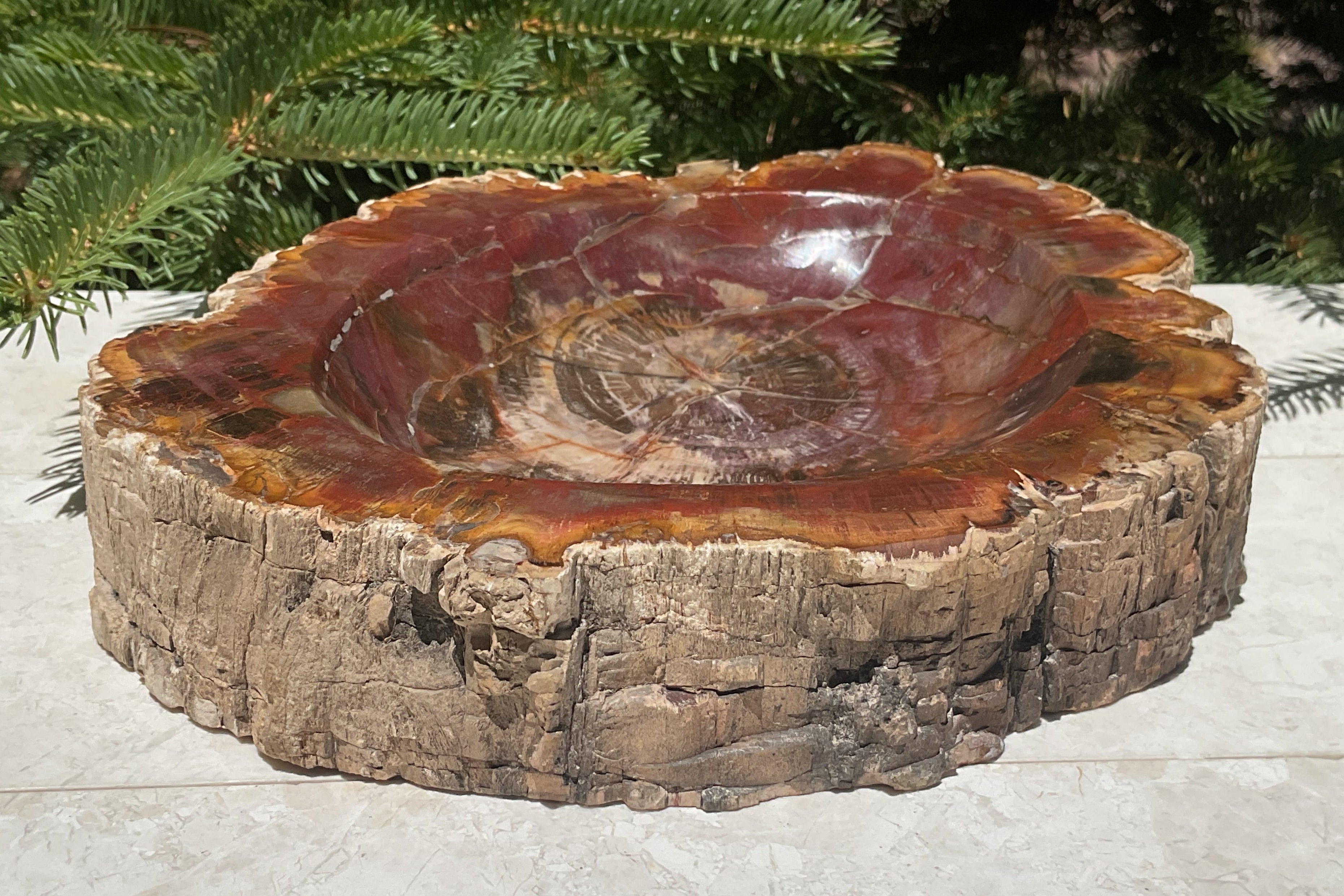 Bark Edged Petrified Wood Bowl
