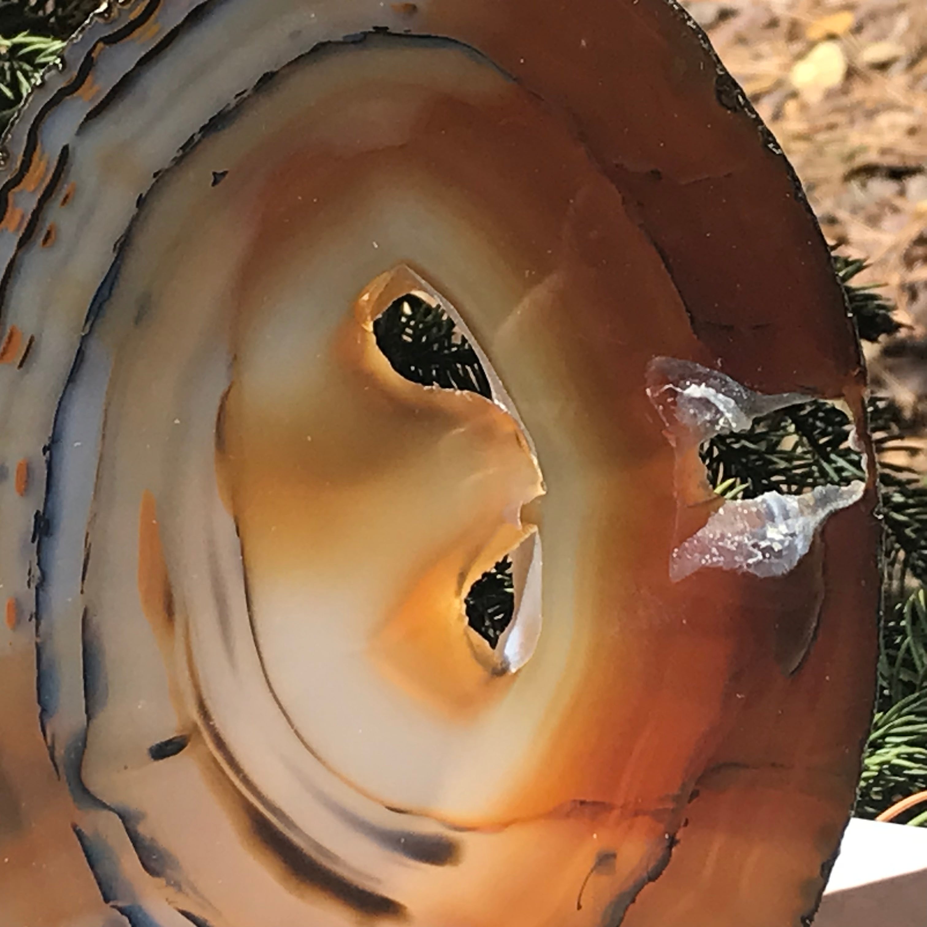 Brightly Translucent Agate Slice