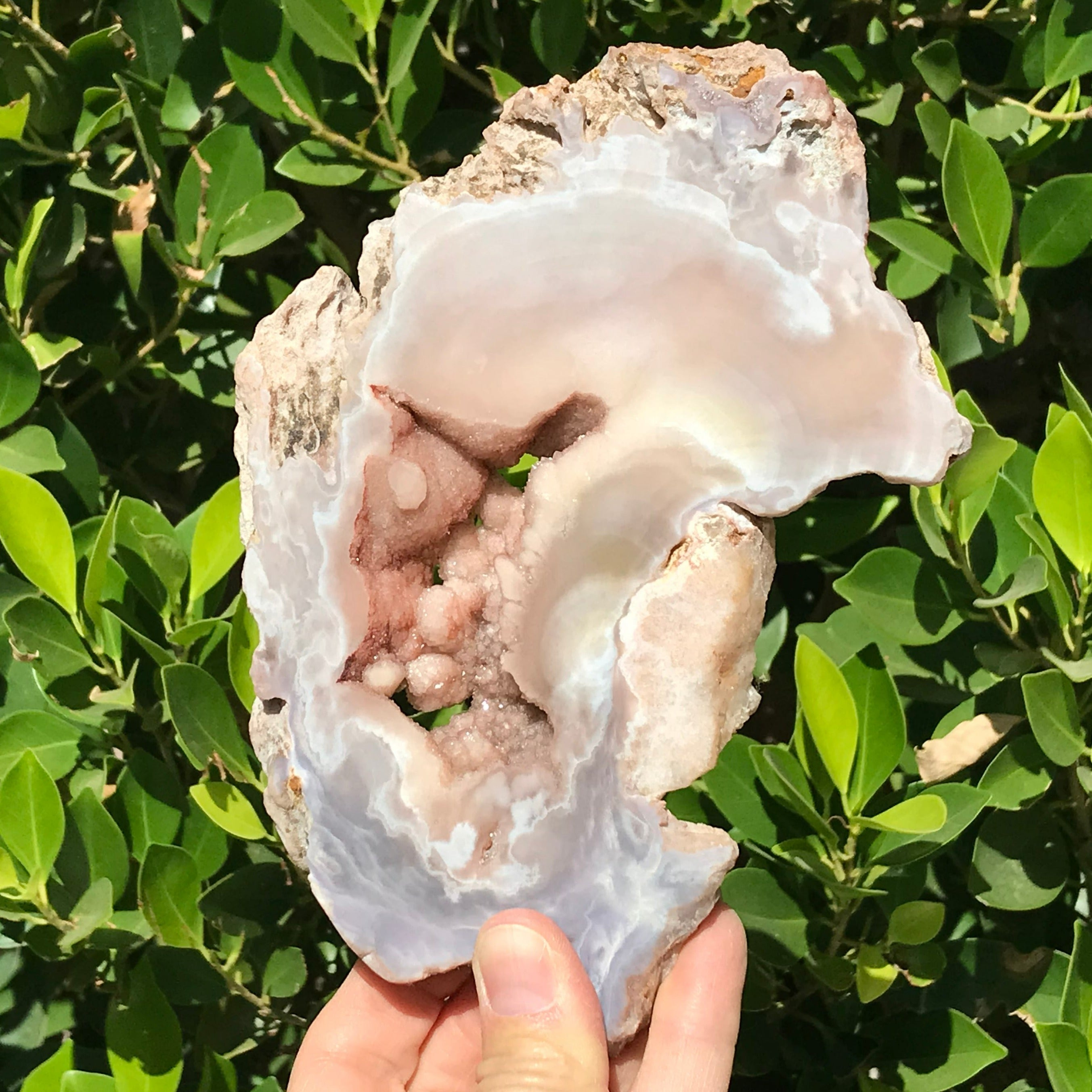Sparkling Rose Jasper Slab