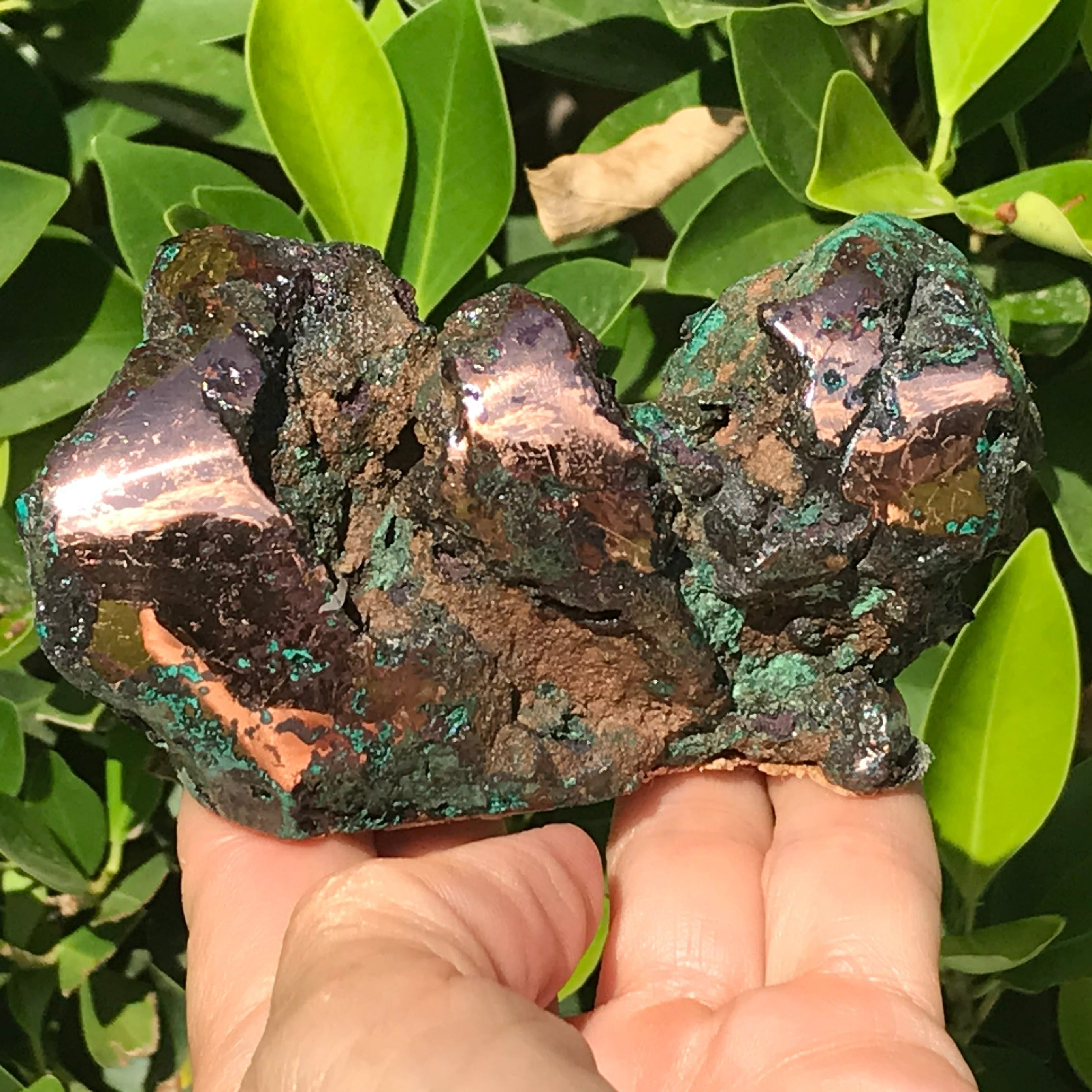 Michigan Float Copper Freeform