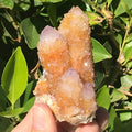 Crystal Coated Amber Cactus Quartz Cluster