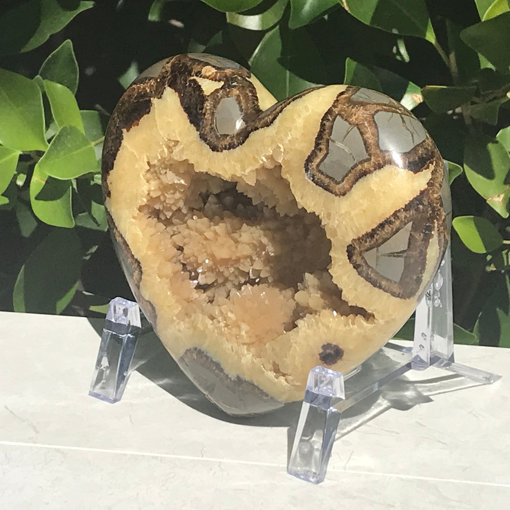 Crystal Filled Septarian Heart