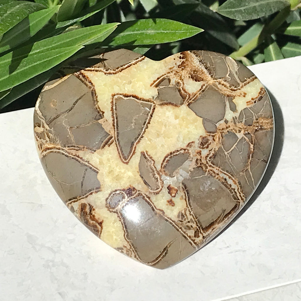 Hand Polished Septarian Heart