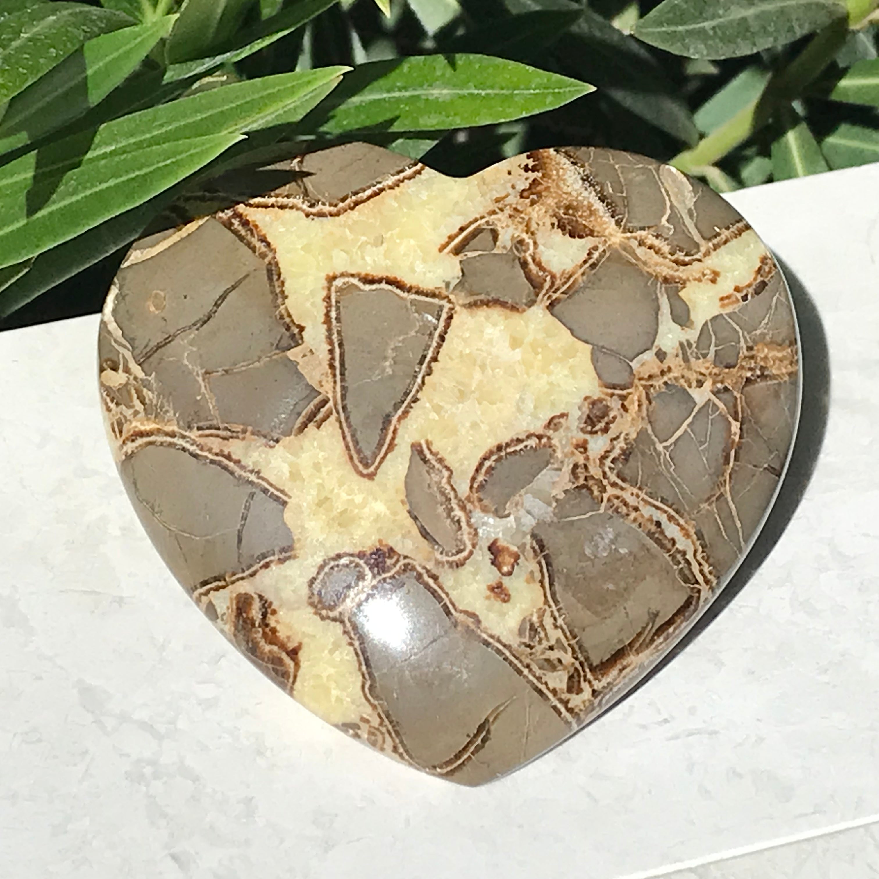 Hand Polished Septarian Heart