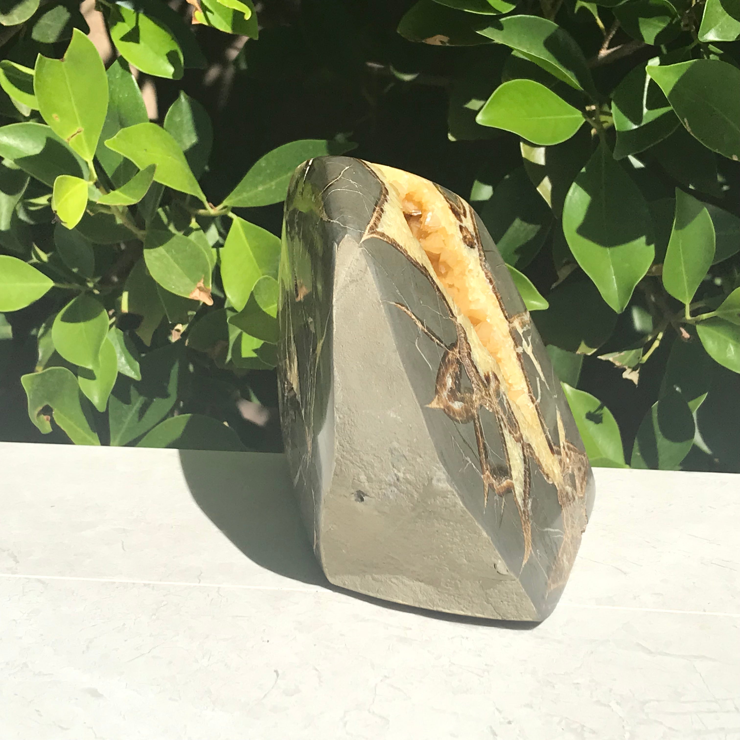 Contemporary  Septarian Nodule