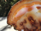 Fiery Detailed Agate Slice