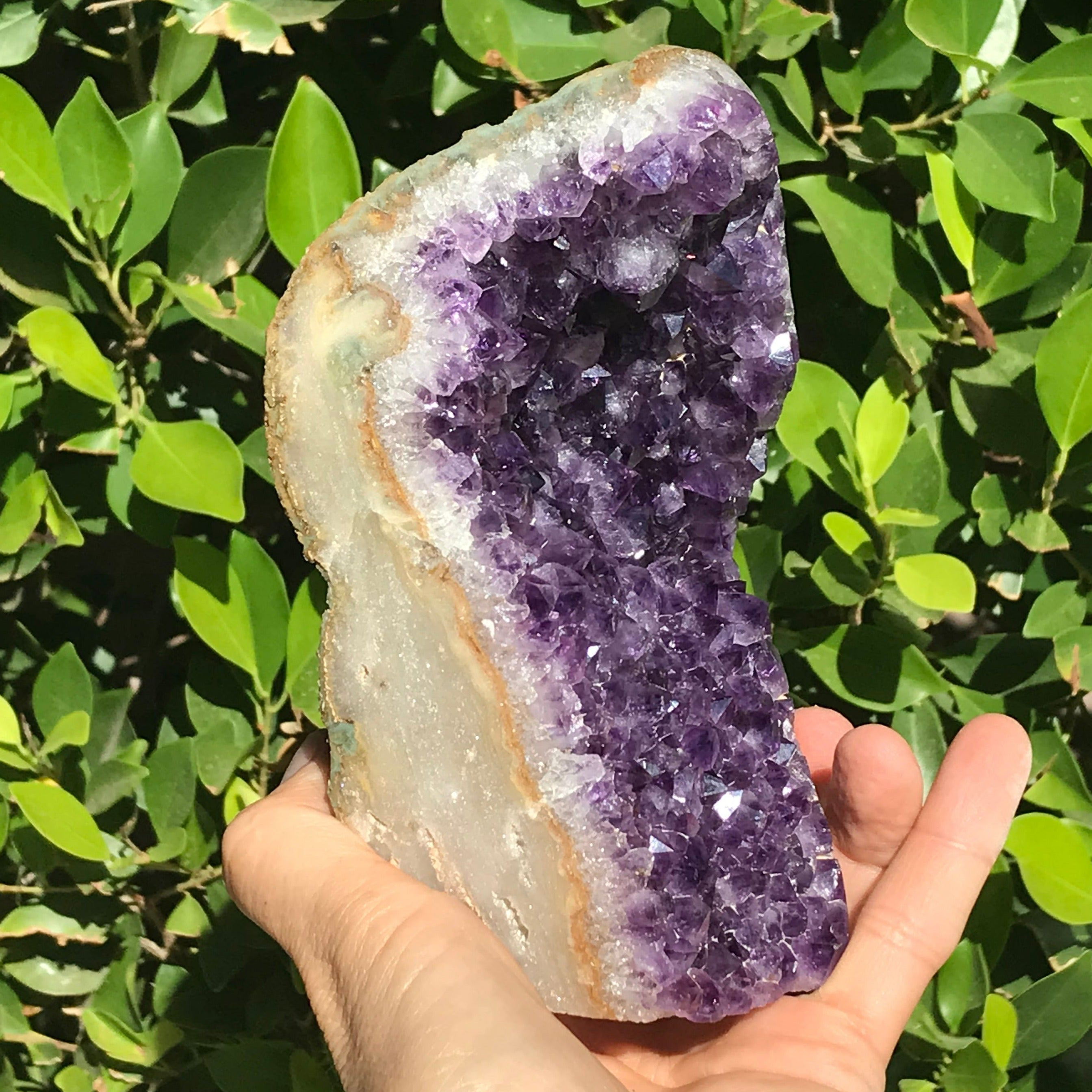 Uruguayan Amethyst With Banded Agate Freeform