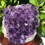Brazilian Amethyst Cluster
