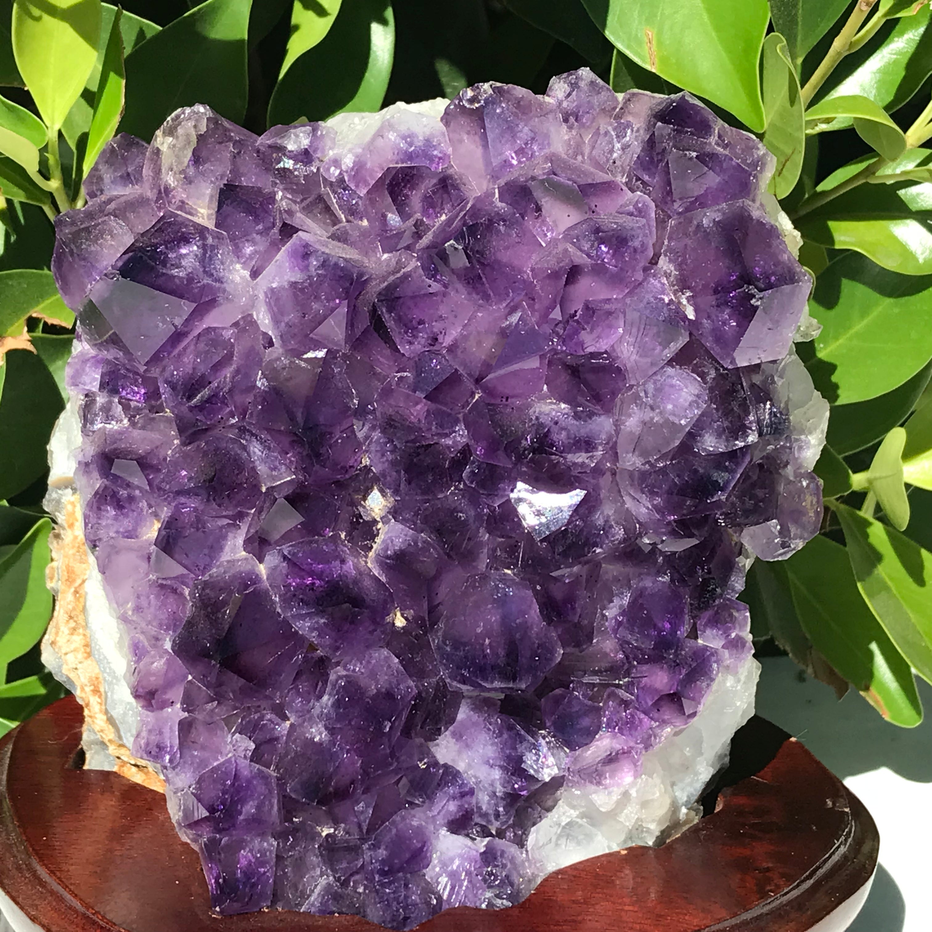 Brazilian Amethyst Cluster