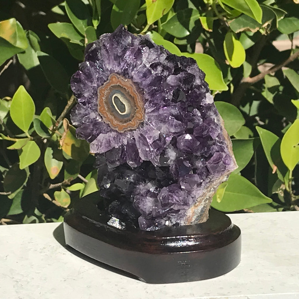 Amethyst Cluster with Magnifient Stalactite Eye