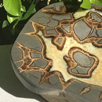 Patterned Septarian Bowl