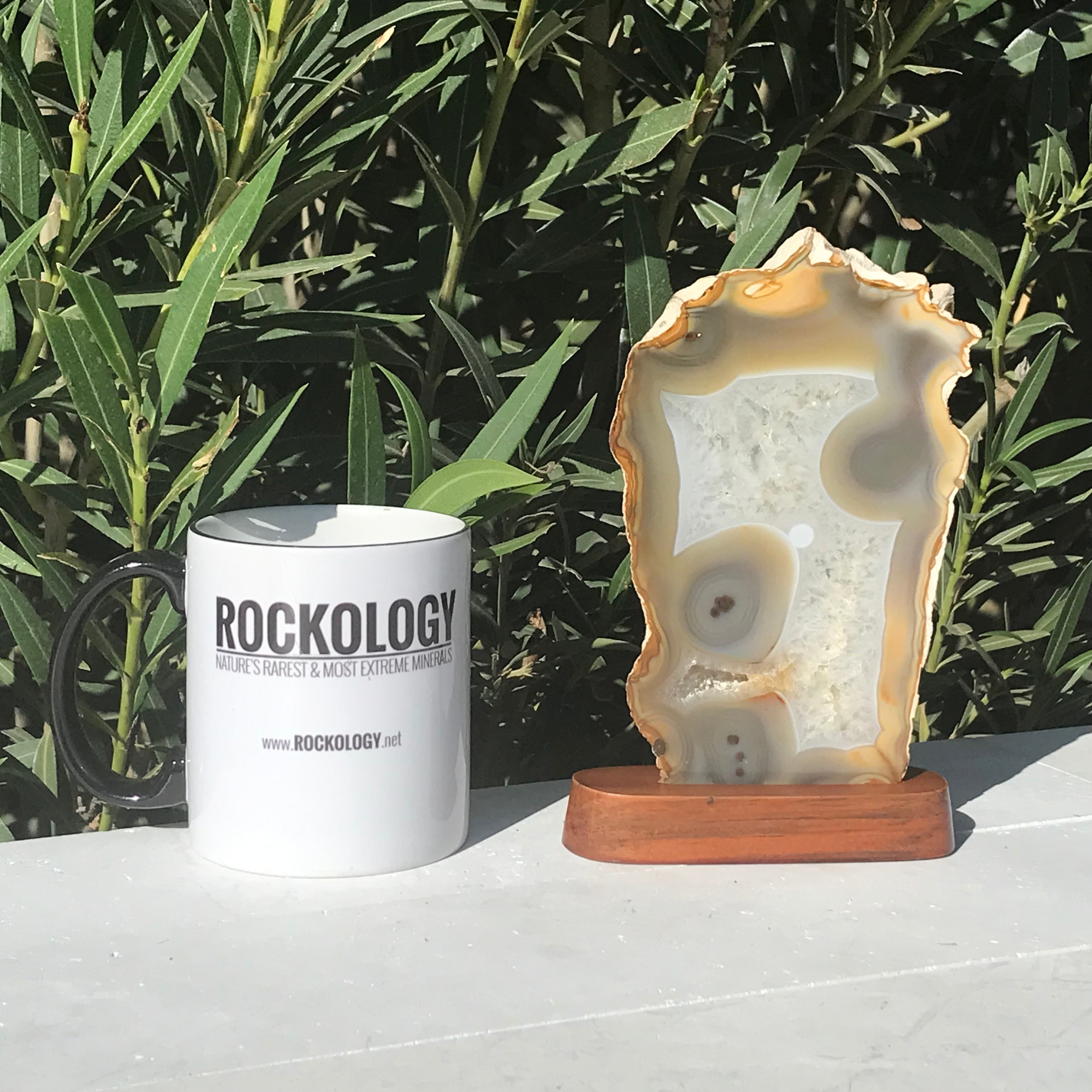 Glowing Brazilian Agate Slice