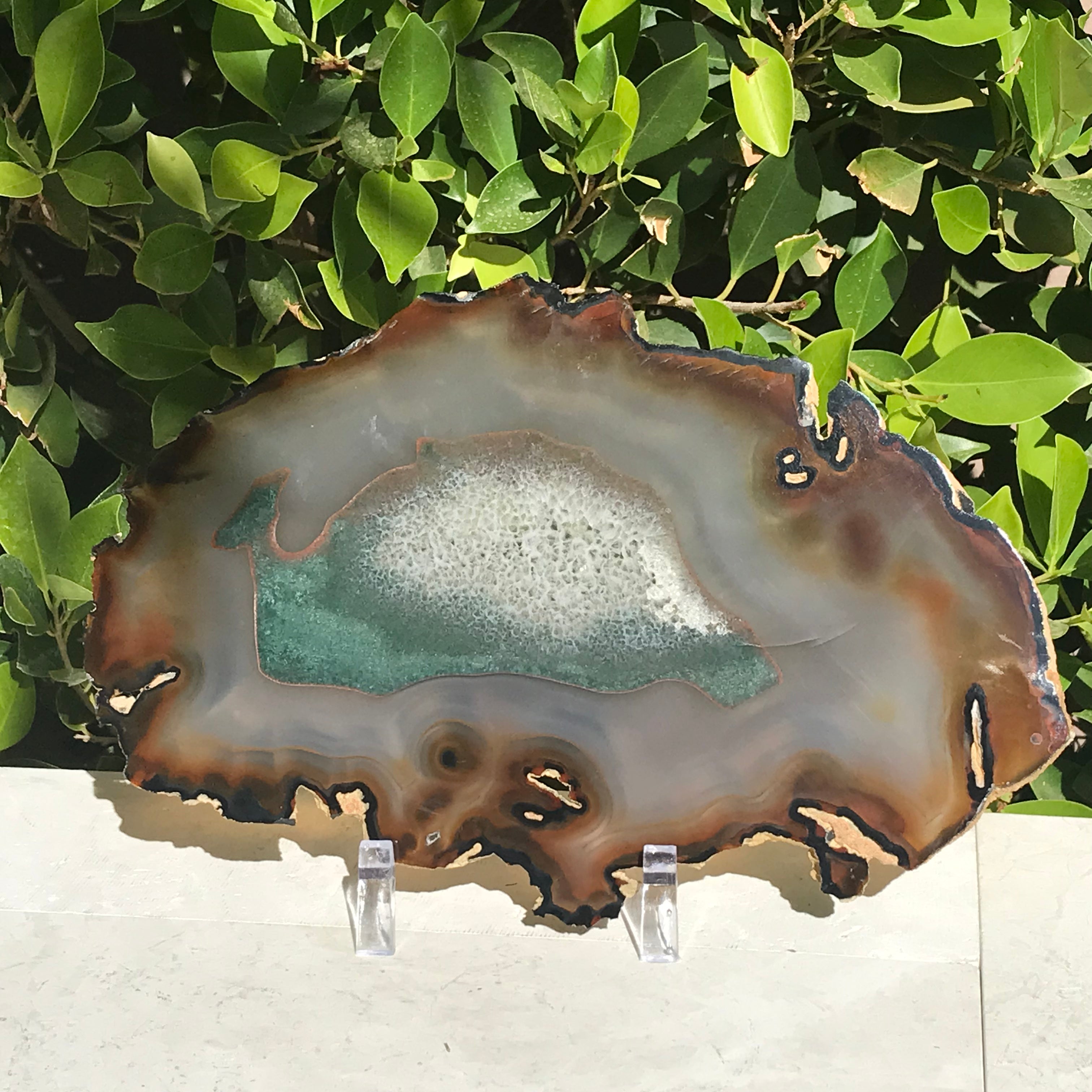 Bold Yellow and Green Banded Agate Slice