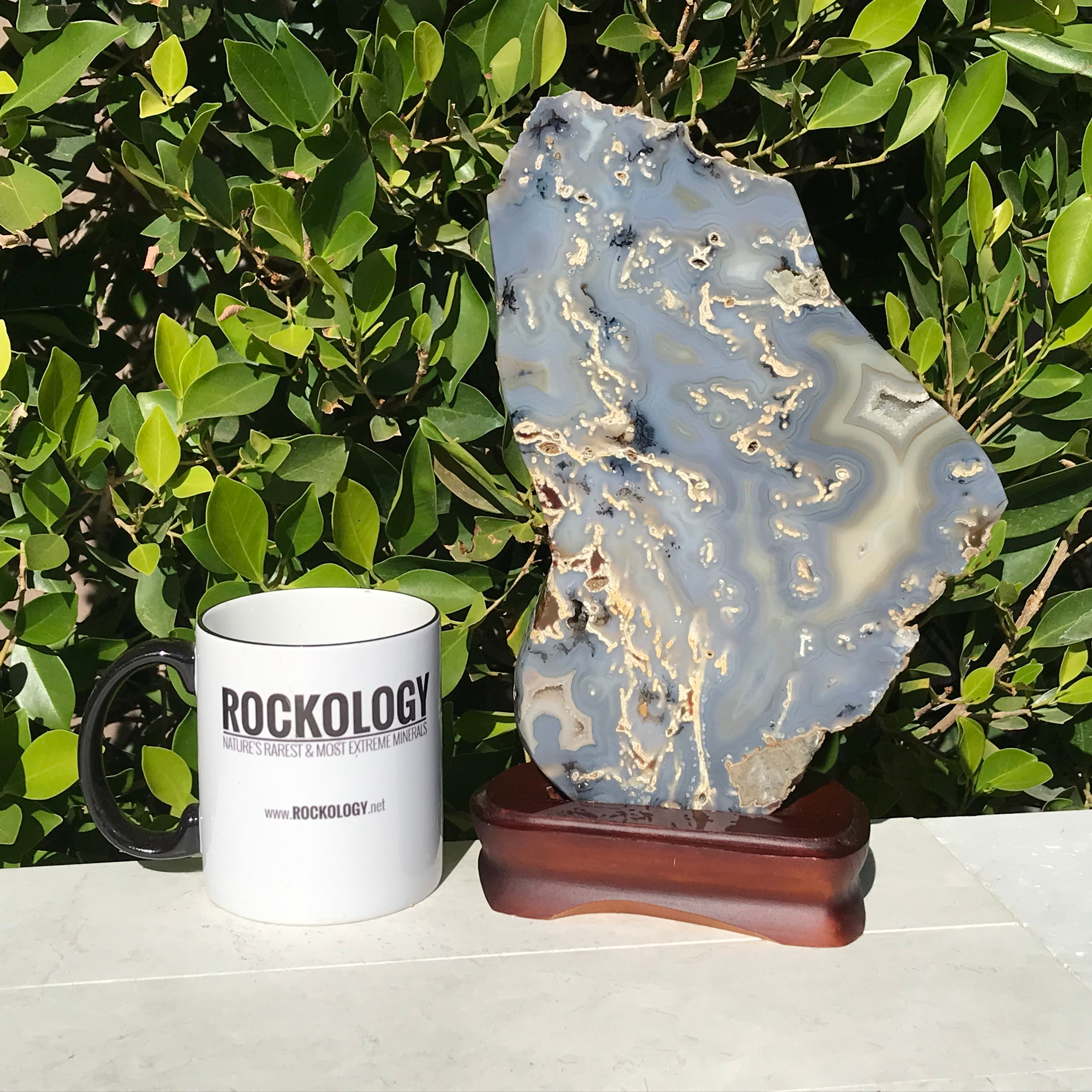 Brazilian Agate Freeform