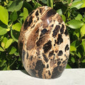 Black Opal Freeform