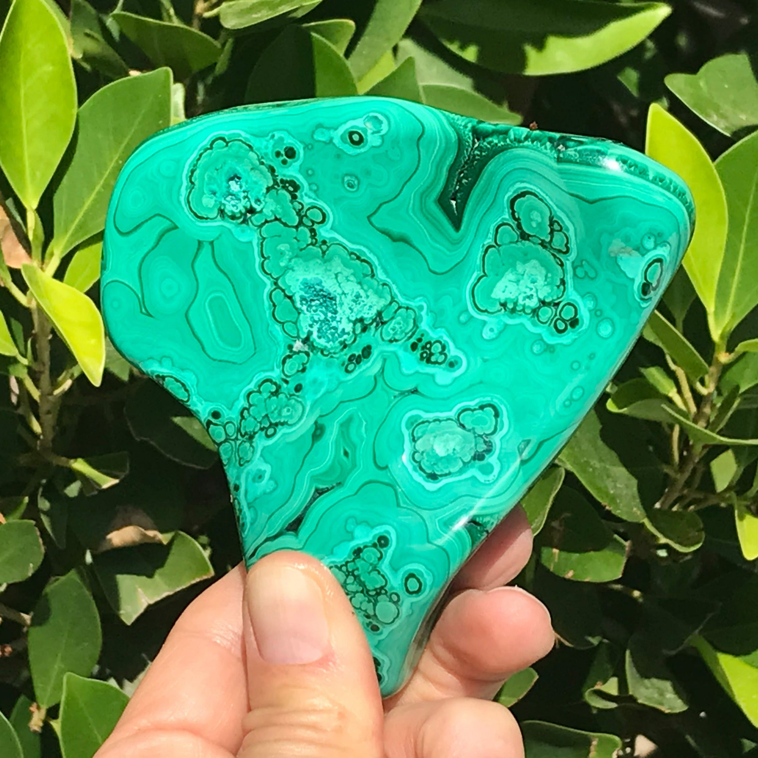 Single Eyed Malachite Nodule