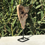 Microcrystalline Quartz over Nodules Rose Geode