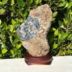 Brazilian Agate Freeform