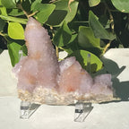 Towers of Crystals Cactus Quartz Cluster