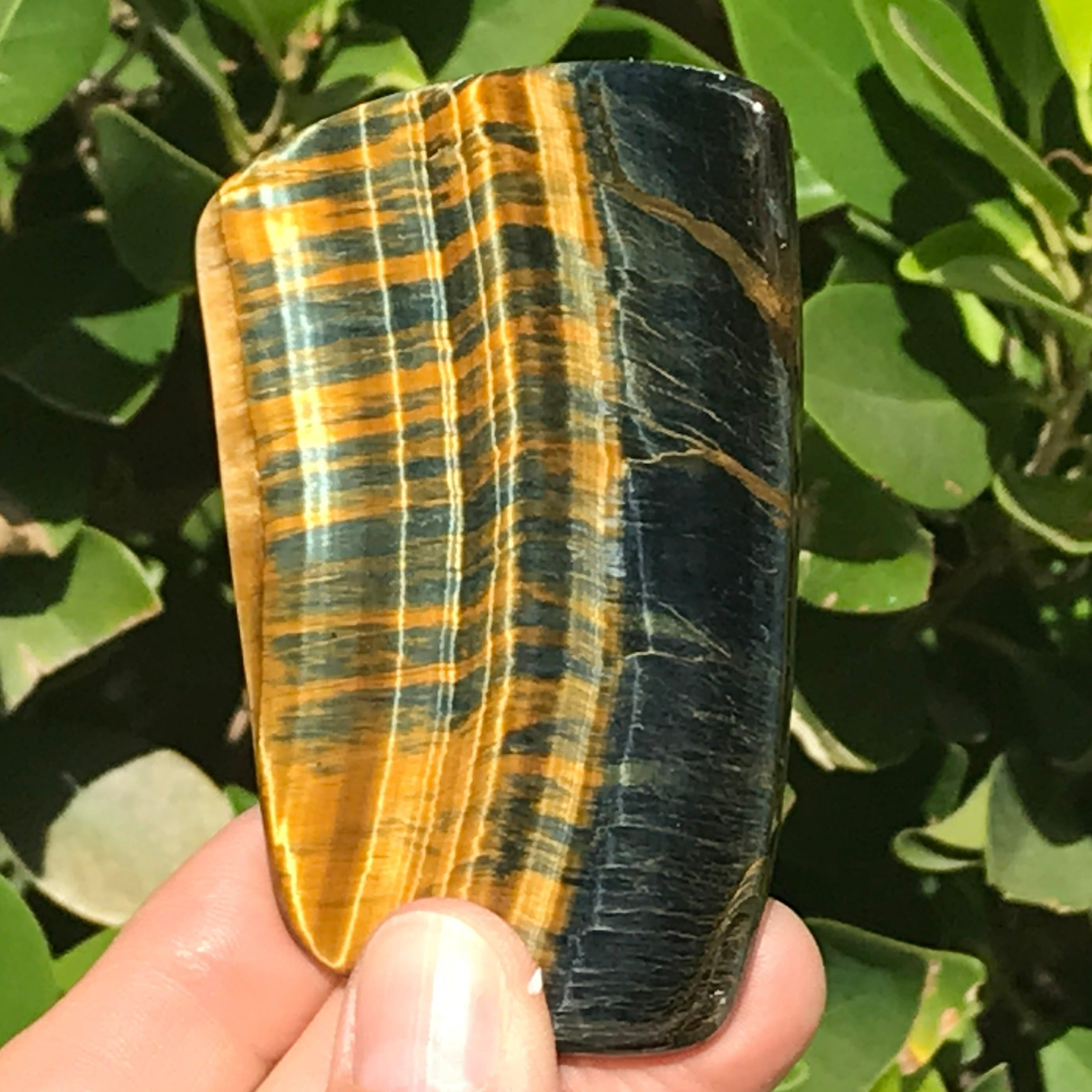 Tiger Eye Jasper Slab