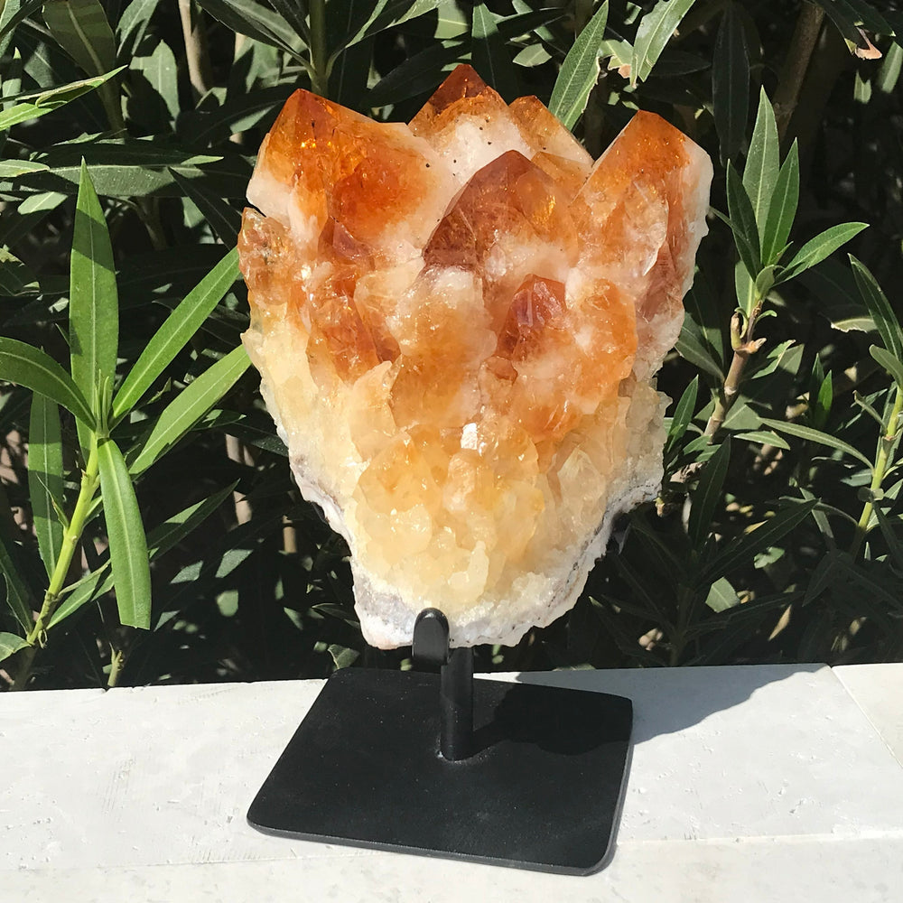 Crystal Topped Citrine