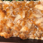 Brazilian Citrine Cluster