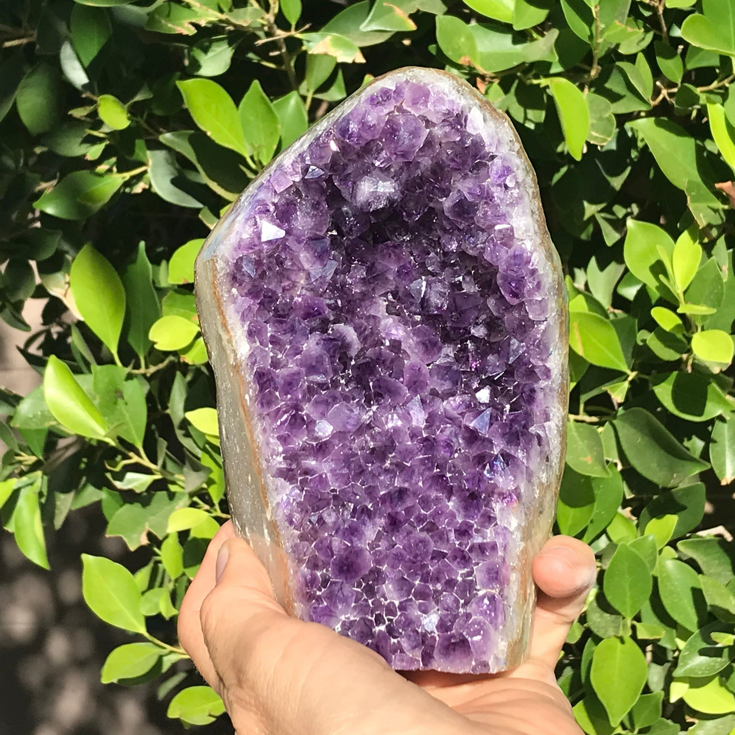 Uruguayan Amethyst With Banded Agate Freeform
