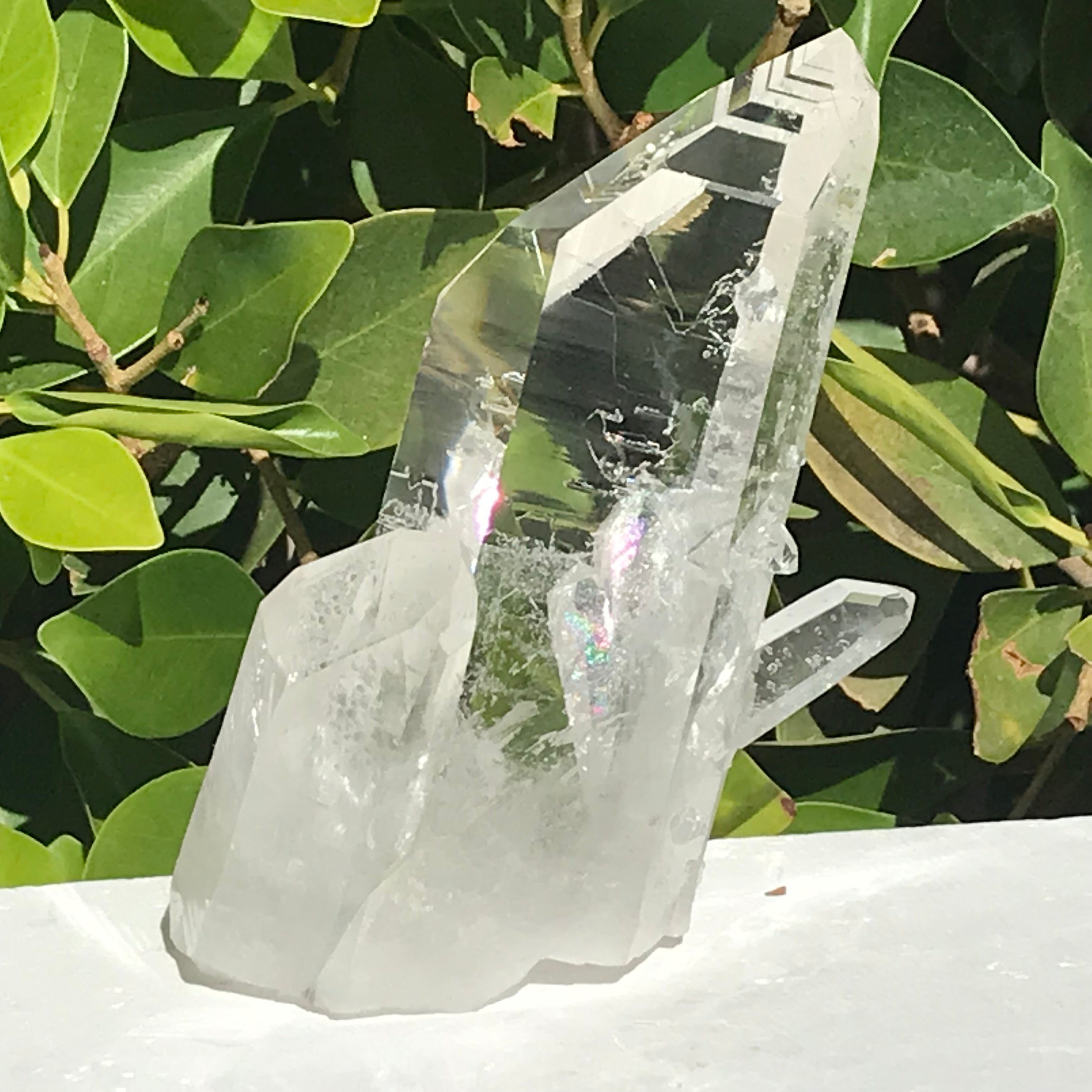 Crystal Growth on Lemurian Crystal Cluster