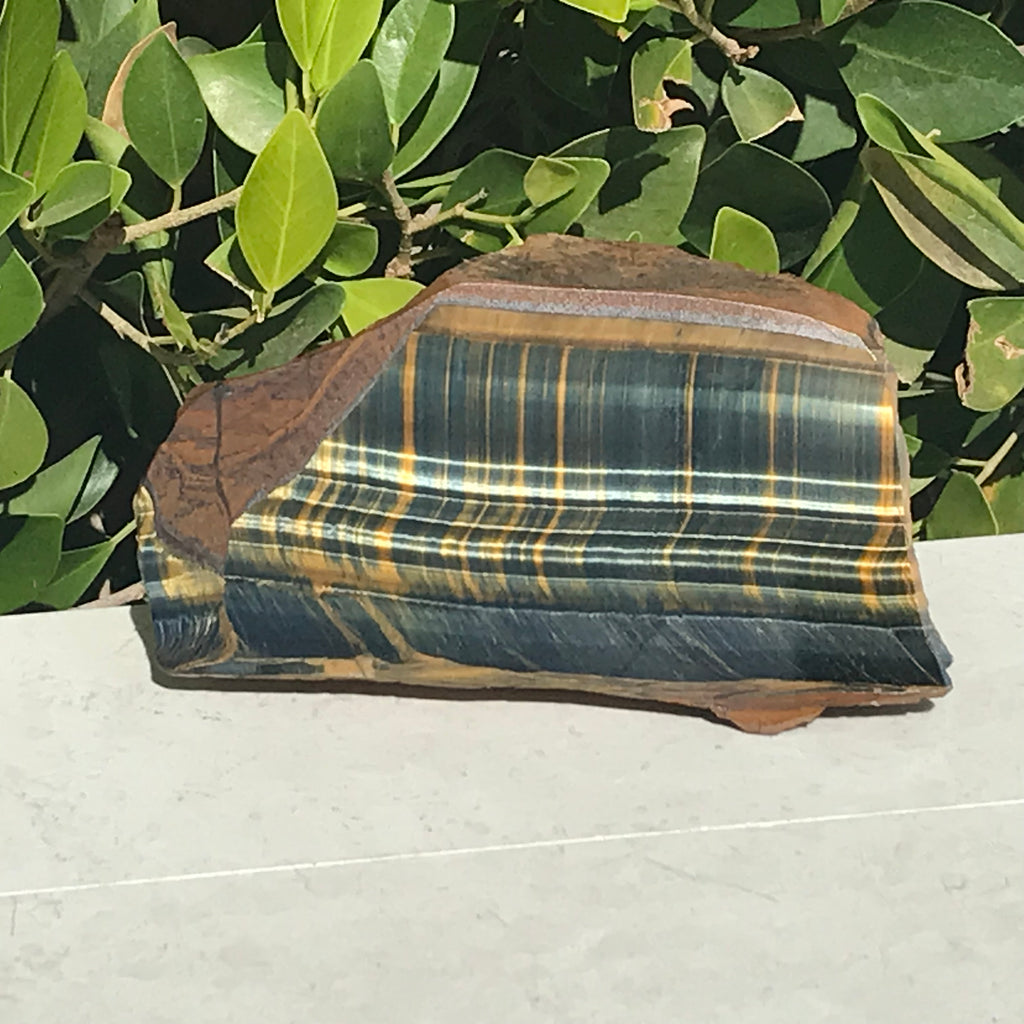 Tiger Eye Jasper