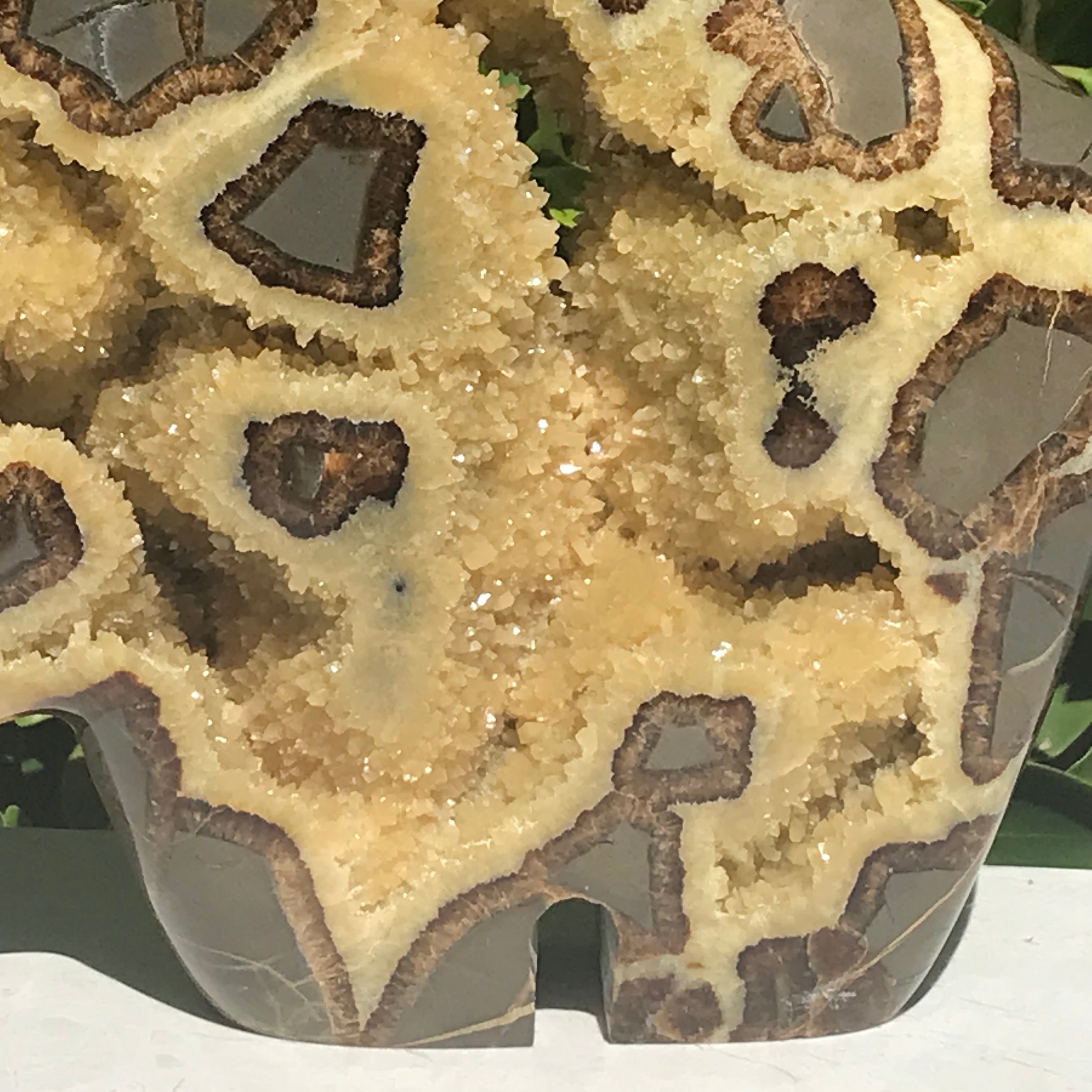 Septarian Buffalo