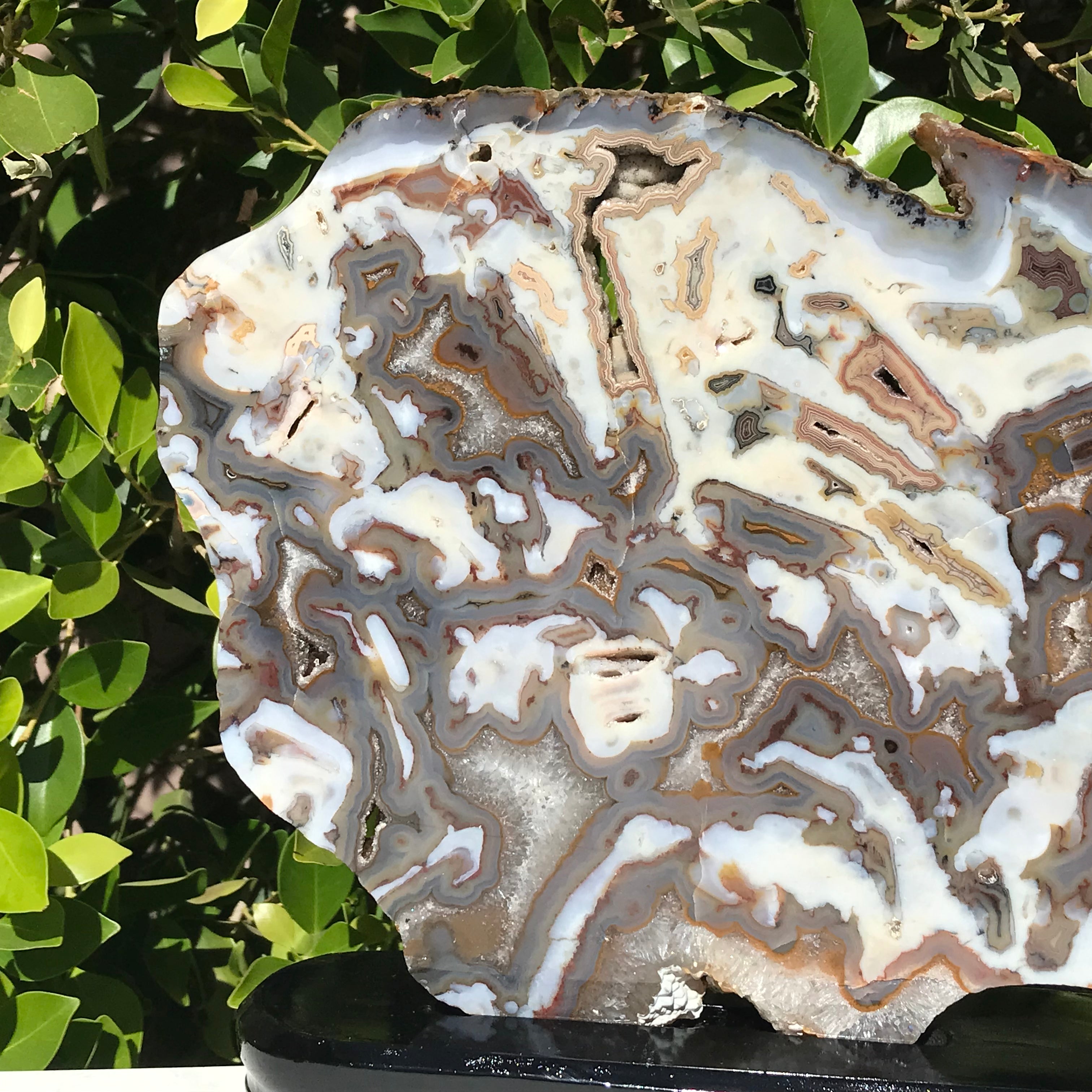 Striking Brazilian Agate Slice